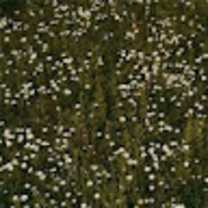 Meet your Posher, Sachi